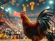 Live betting excitement with cockfighting at sv368win.live, showcasing vibrant atmosphere and dynamic action.